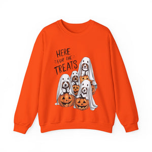 Here For The Treats Dog Halloween Sweatshirt