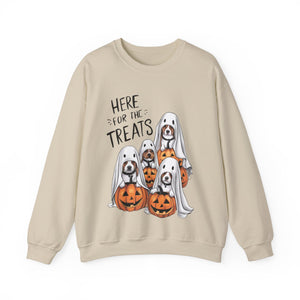 Here For The Treats Dog Halloween Sweatshirt