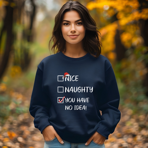 Nice Naught You Have No Idea - Graphic Sweatshirt