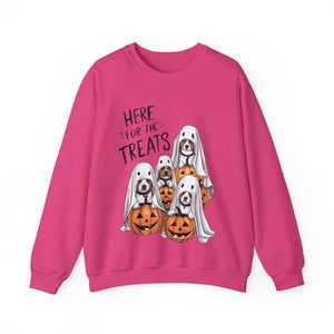 Here For The Treats Dog Halloween Sweatshirt