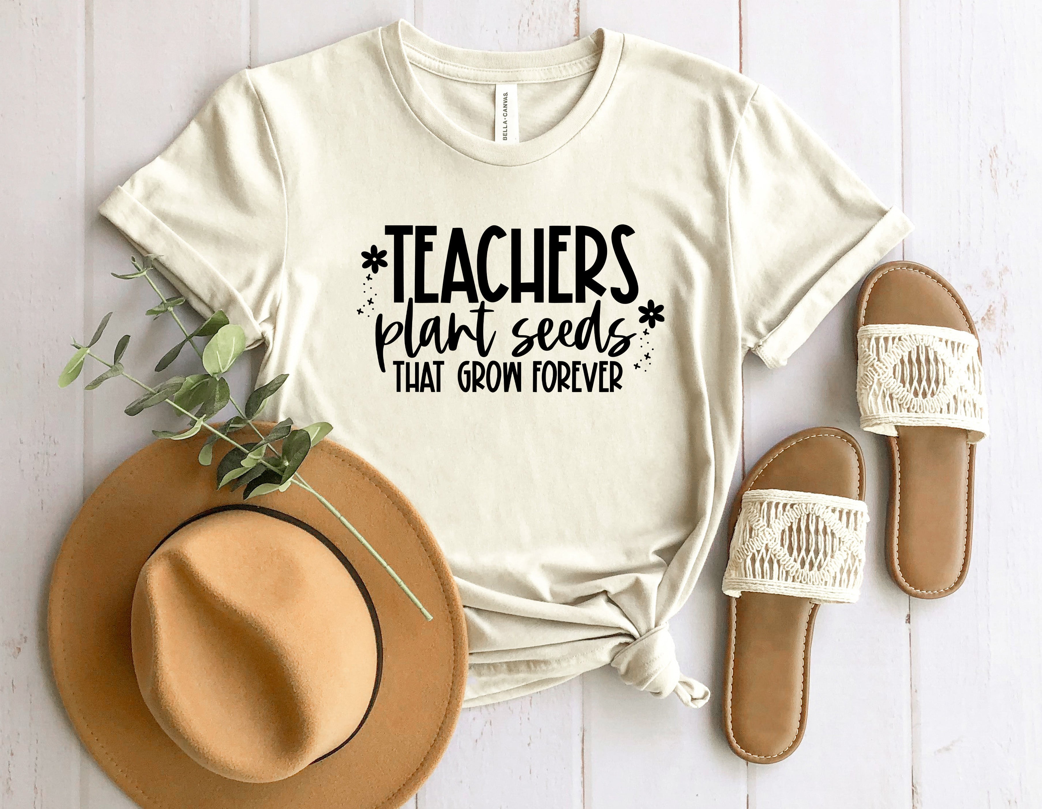 Teachers Plant Seeds